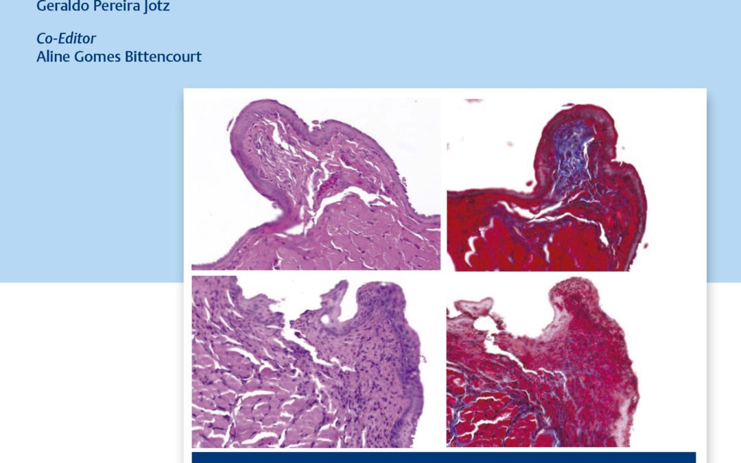 Thieme
                    
                
            
        International Archives of Otorhinolaryngology (IAO)