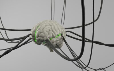Manual de Neurocirurgia – A Obra Indispensável para Quem Vive a Neurocirurgia